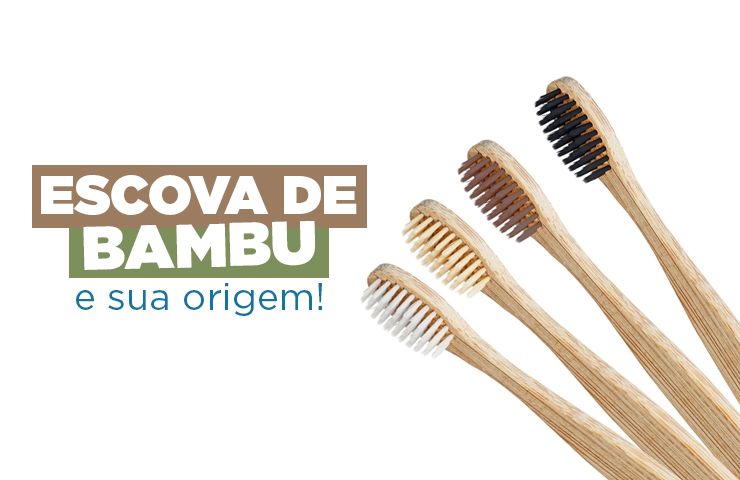 Escova de bambu e sua origem!